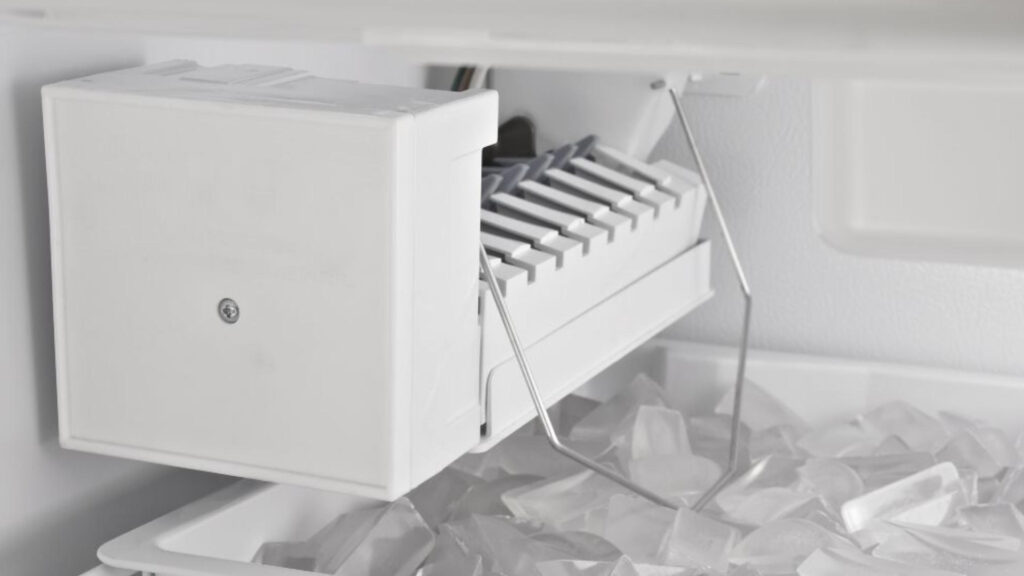 Ice Maker Cleaning: Preventing Mold and Odor